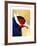 Exotic Bird-Enrico Varrasso-Framed Art Print