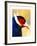 Exotic Bird-Enrico Varrasso-Framed Art Print