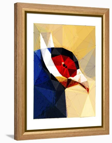 Exotic Bird-Enrico Varrasso-Framed Stretched Canvas