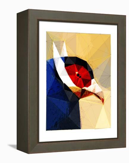 Exotic Bird-Enrico Varrasso-Framed Stretched Canvas