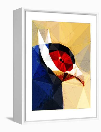 Exotic Bird-Enrico Varrasso-Framed Stretched Canvas