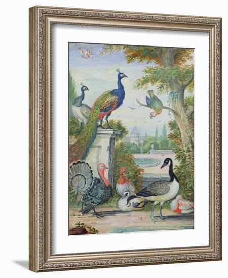 Exotic Birds and Domestic Fowl in a Picturesque Park, Early 18th Century-Jakob Bogdany-Framed Giclee Print