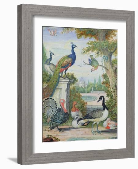 Exotic Birds and Domestic Fowl in a Picturesque Park, Early 18th Century-Jakob Bogdany-Framed Giclee Print