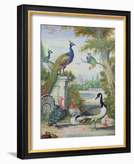 Exotic Birds and Domestic Fowl in a Picturesque Park, Early 18th Century-Jakob Bogdany-Framed Giclee Print