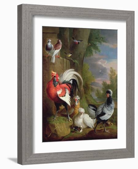 Exotic Birds in a Landscape (Oil on Canvas)-Jakob Bogdani Or Bogdany-Framed Giclee Print