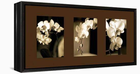 Exotic Blooms-Cinzia Ryan-Framed Premier Image Canvas