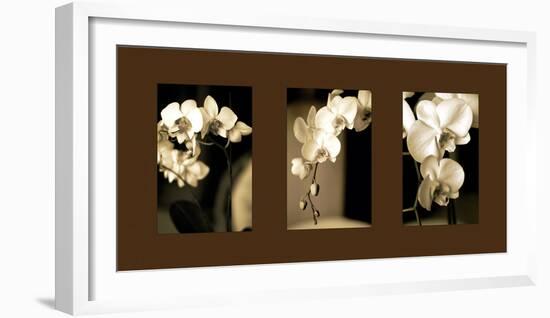 Exotic Blooms-Cinzia Ryan-Framed Photographic Print