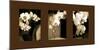 Exotic Blooms-Cinzia Ryan-Mounted Photographic Print