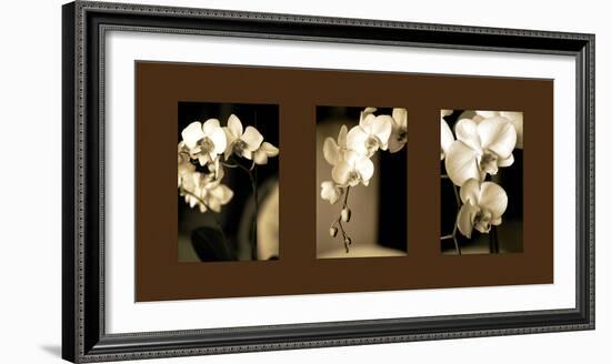 Exotic Blooms-Cinzia Ryan-Framed Photographic Print