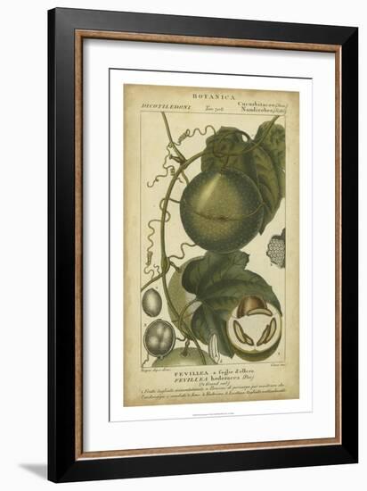 Exotic Botanica I-Turpin-Framed Art Print