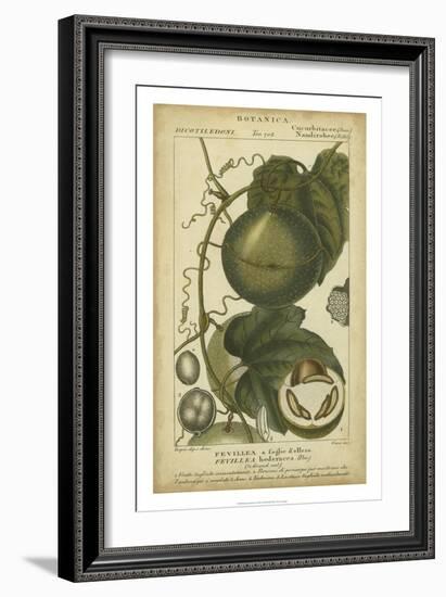 Exotic Botanica I-Turpin-Framed Art Print