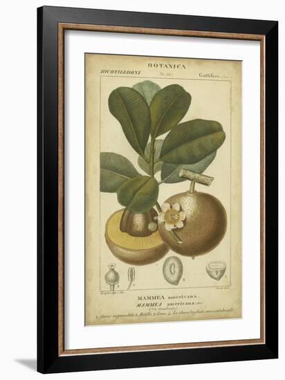 Exotic Botanica II-Turpin-Framed Art Print