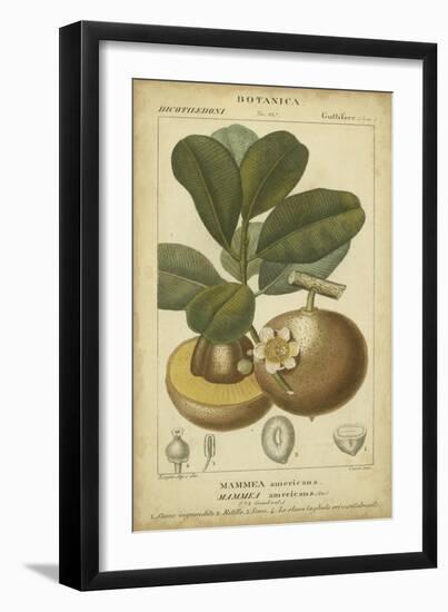 Exotic Botanica II-Turpin-Framed Art Print