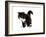 Exotic Cat-Fabio Petroni-Framed Photographic Print