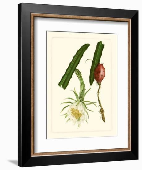 Exotic Flora II-Vision Studio-Framed Art Print