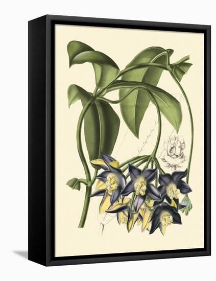 Exotic Foliage III-Vision Studio-Framed Stretched Canvas