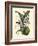 Exotic Foliage IV-Vision Studio-Framed Art Print