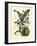 Exotic Foliage IV-Vision Studio-Framed Art Print