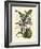 Exotic Foliage IV-Vision Studio-Framed Art Print