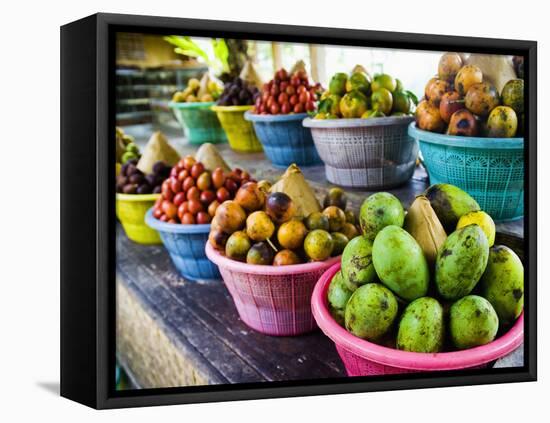 Exotic Fruits at a Tropical Fruit Farm, Bali, Indonesia, Southeast Asia, Asia-Matthew Williams-Ellis-Framed Premier Image Canvas