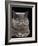 Exotic Grey Cat, Sleeping-Adriano Bacchella-Framed Photographic Print