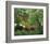 Exotic Landscape, 1910-Henri Rousseau-Framed Premium Giclee Print