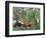 Exotic Landscape, 1910-Henri Rousseau-Framed Premium Giclee Print