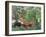 Exotic Landscape, 1910-Henri Rousseau-Framed Giclee Print