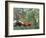 Exotic Landscape, 1910-Henri Rousseau-Framed Giclee Print