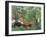 Exotic Landscape, 1910-Henri Rousseau-Framed Giclee Print