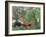 Exotic Landscape, 1910-Henri Rousseau-Framed Giclee Print