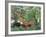 Exotic Landscape, 1910-Henri Rousseau-Framed Giclee Print