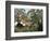 Exotic Landscape-Henri Rousseau-Framed Giclee Print