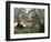 Exotic Landscape-Henri Rousseau-Framed Giclee Print