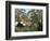 Exotic Landscape-Henri Rousseau-Framed Giclee Print