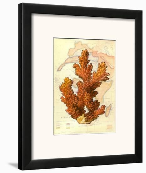 Exotic Map with Coral III-Deborah Bookman-Framed Art Print
