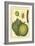 Exotic Melons I-Vision Studio-Framed Art Print