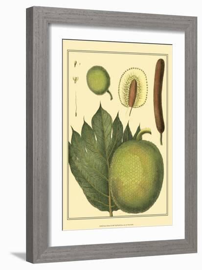 Exotic Melons I-Vision Studio-Framed Art Print