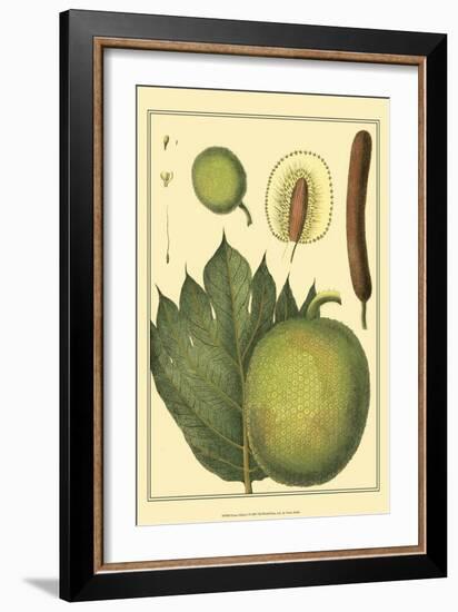 Exotic Melons I-Vision Studio-Framed Art Print