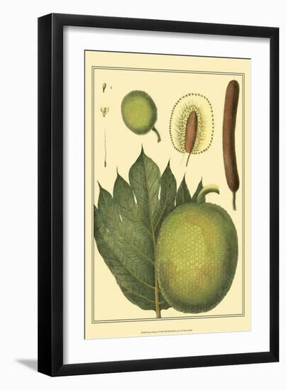 Exotic Melons I-Vision Studio-Framed Art Print