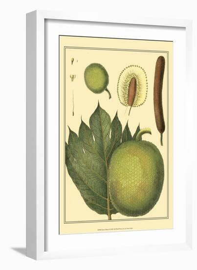 Exotic Melons I-Vision Studio-Framed Art Print