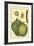 Exotic Melons I-Vision Studio-Framed Art Print