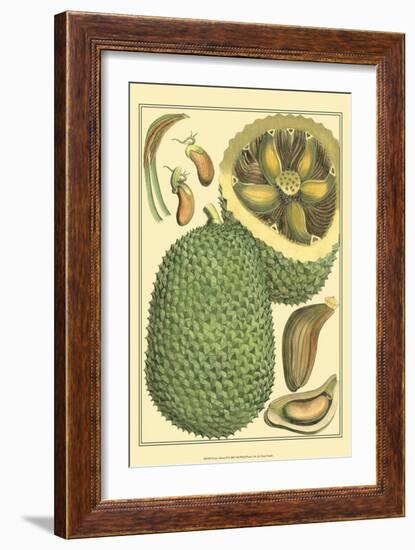 Exotic Melons II-Vision Studio-Framed Art Print