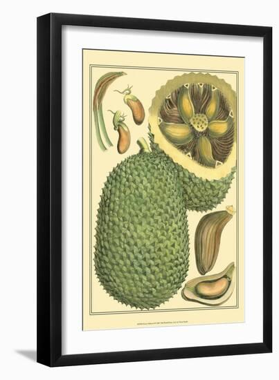 Exotic Melons II-Vision Studio-Framed Art Print