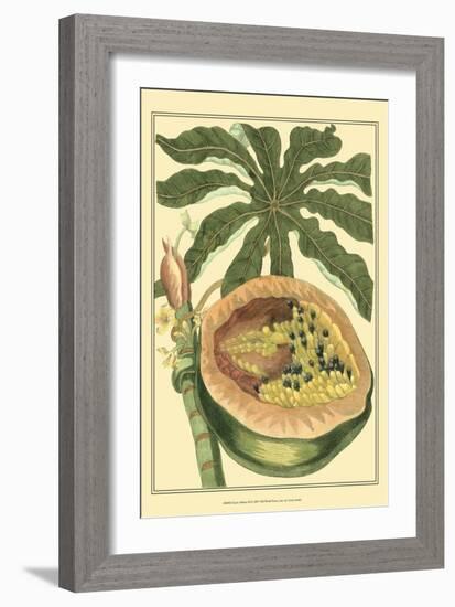 Exotic Melons III-Vision Studio-Framed Art Print