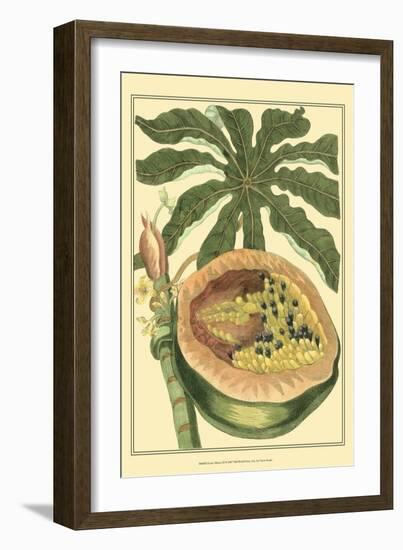 Exotic Melons III-Vision Studio-Framed Art Print