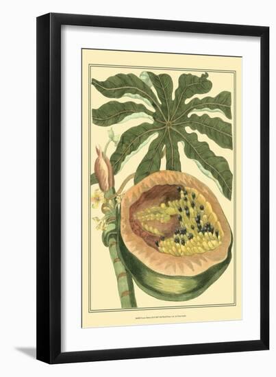 Exotic Melons III-Vision Studio-Framed Art Print