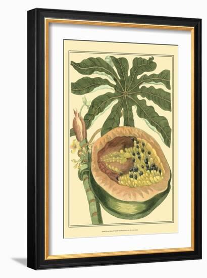 Exotic Melons III-Vision Studio-Framed Art Print