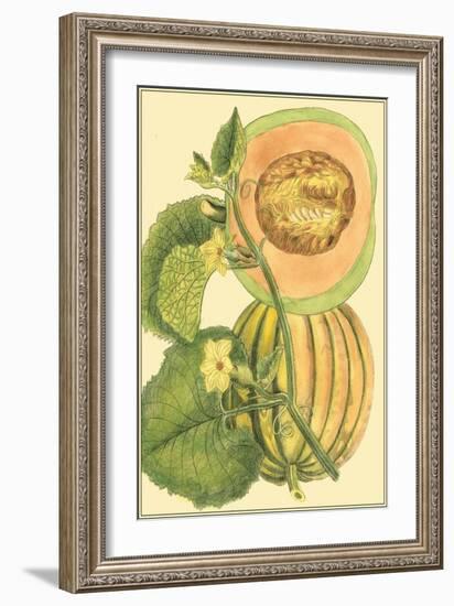 Exotic Melons IV-Vision Studio-Framed Art Print