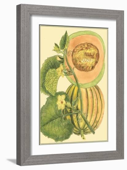 Exotic Melons IV-Vision Studio-Framed Art Print